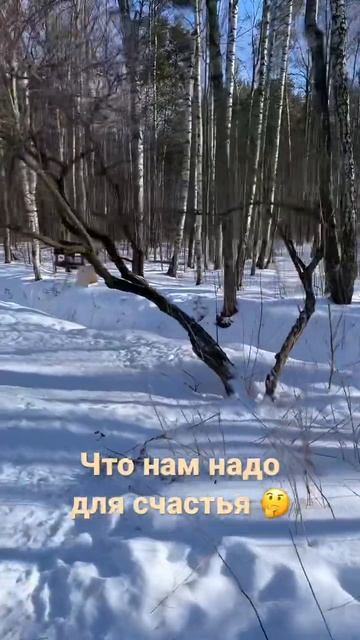 Что нам нужно для счастья? #счастье #вера #мирскиетайны #скит #монастырь #правда #shortsvideo #shor