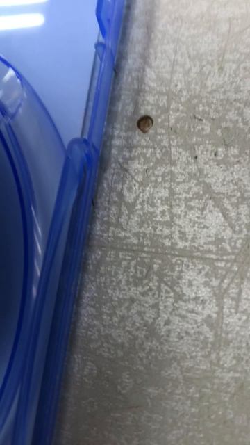 07-05-2025 смотреть онлайн