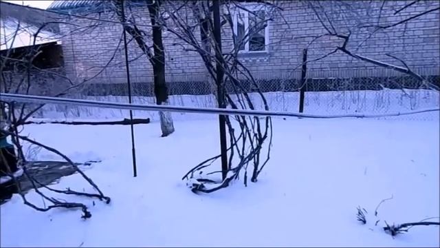 Ой снег, снежок. Кальник. 2018 рік.