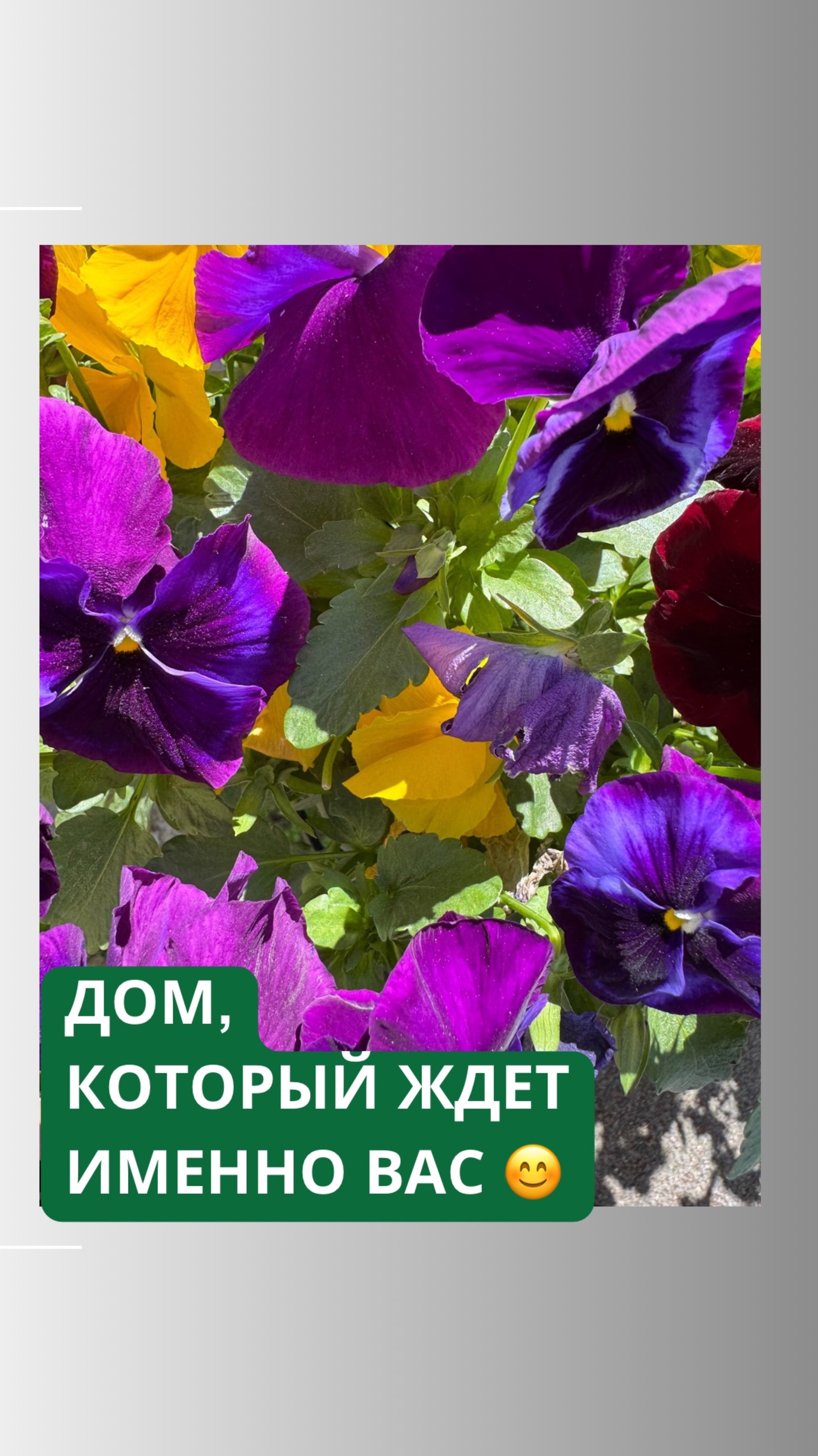 Исторический дом - покупка, которая меняет жизнь.