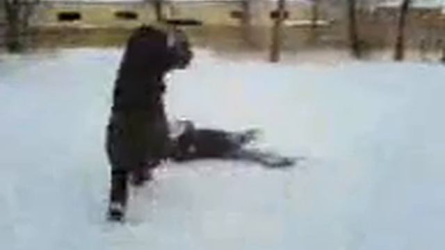 прикол, ржач,жесть!смотреть! смотреть онлайн