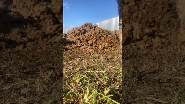 Копка колодцев #чистка#колодцы смотреть онлайн