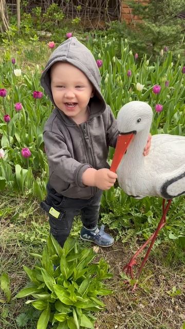 Хорошо на даче летом 🫶 смотреть онлайн