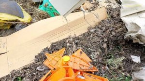 Находки на Сельской Свалке