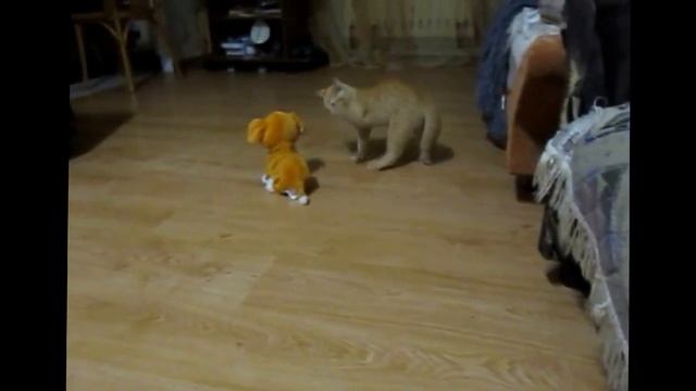 мой кот смотреть онлайн