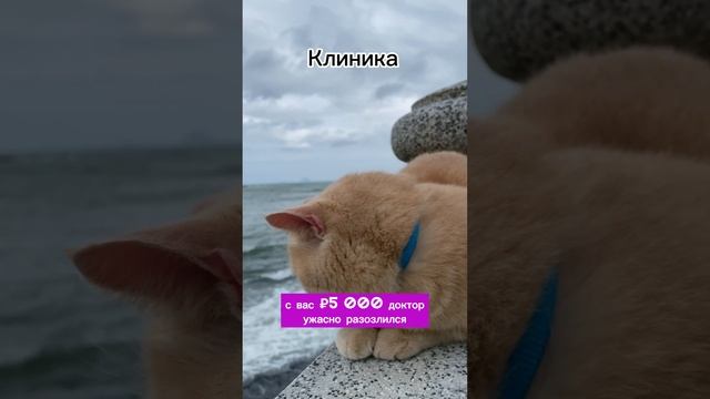 Клиника безработного инженера|когда лечение становится настоящим вызовом для врача! 💉😄 #анекдот смотреть онлайн