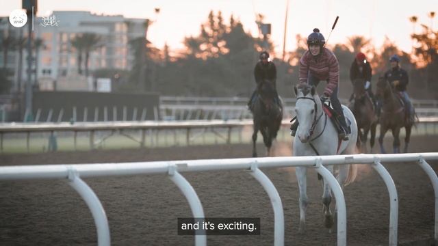 'White Abarrio' в погоне за саудовской славой! смотреть онлайн