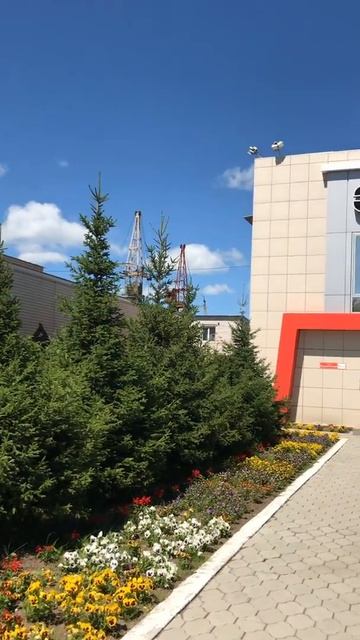 Озеленение завода КВЕ, Забайкальский край, Чита. Ландш смотреть онлайн