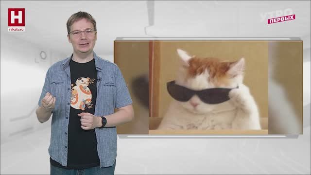 День рождения | ПСИХПРОСВЕТ