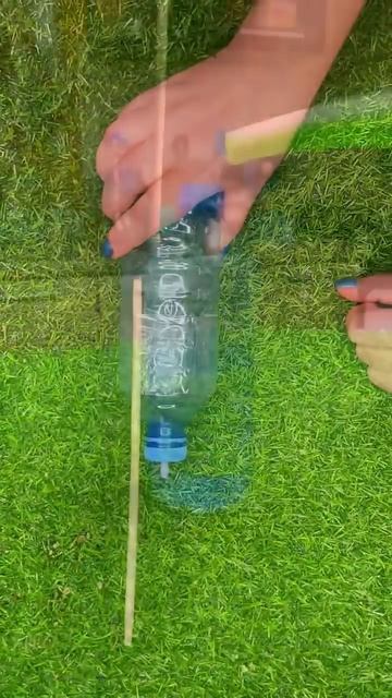 Капельный полив для петунии своими руками смотреть онлайн