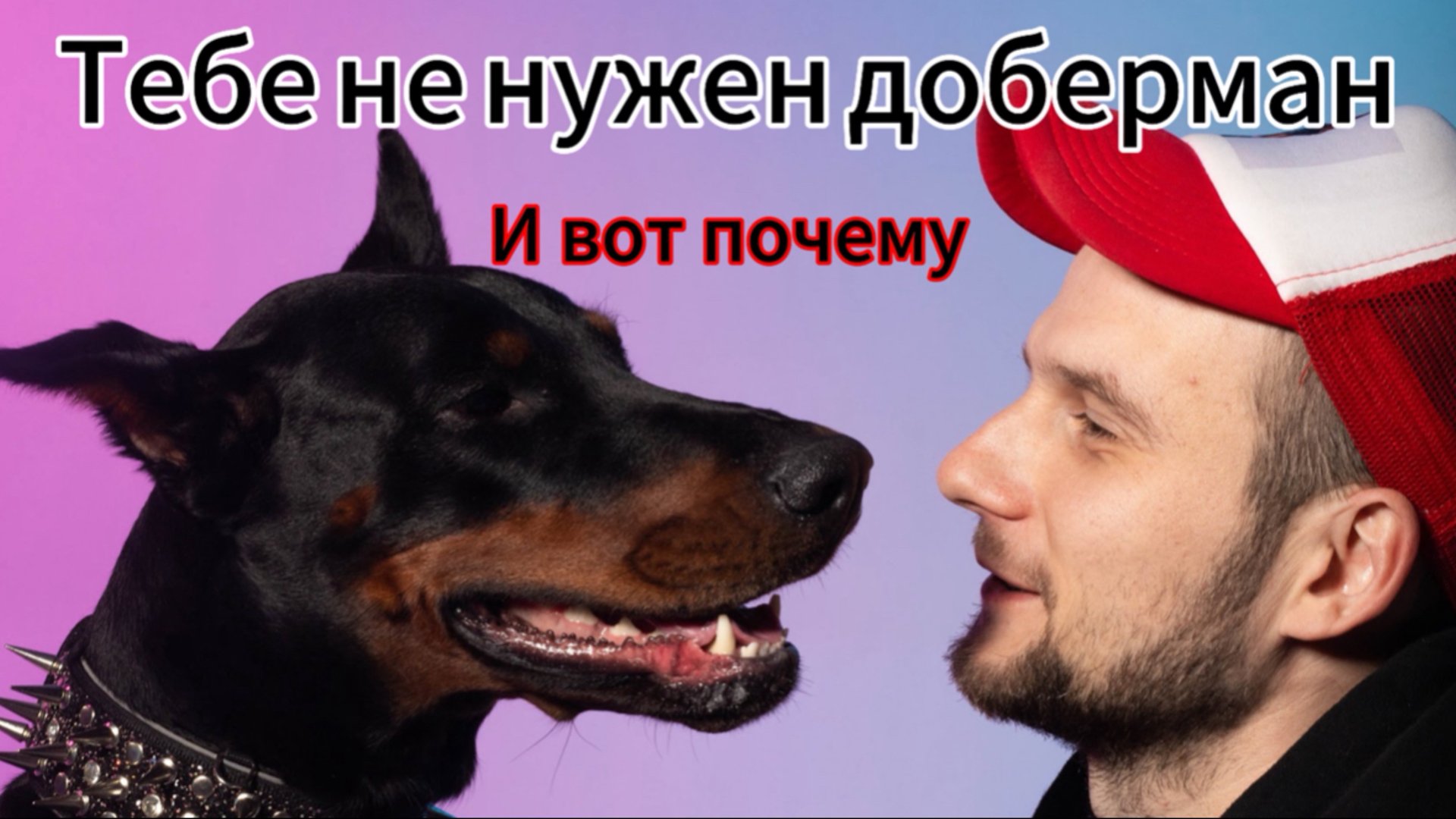 Доберманы - история их создания. Проблемы породы. Доберманы - отказники. смотреть онлайн