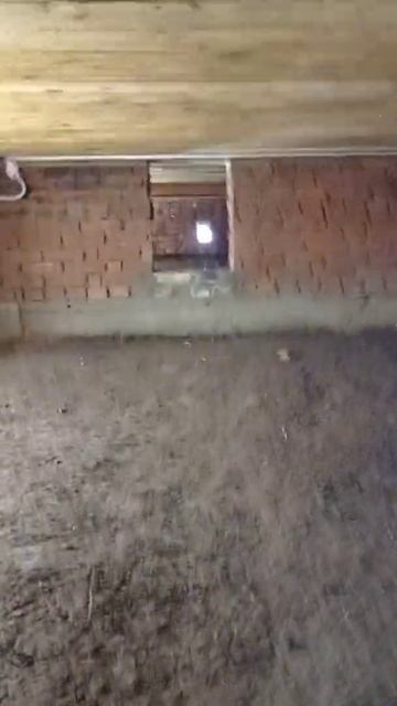 электрик чусовой электромонтаж подсветки подвала дер смотреть онлайн
