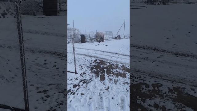 13 декабря 2024 утепление откорм сарая смотреть онлайн