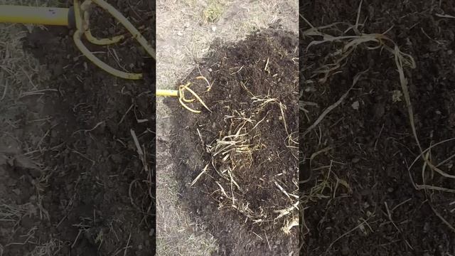 5 апреля 2025 г. смотреть онлайн