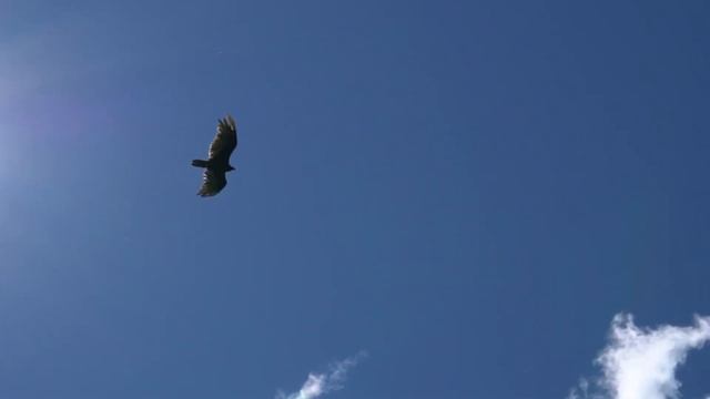 ОТРЕШЕНИЕ. ПУТЬ ПАЛОМНИКА ДУХА смотреть онлайн