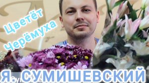 Я.СУМИШЕВСКИЙ И Т.КУТИДЗЕ,, ЦВЕТЁТ ЧЕРЁМУХА ВЕСНОЙ "