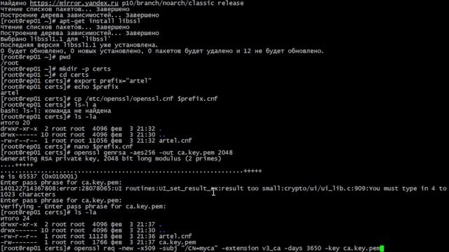 Создание доверенного CA и SAN сертификата с использованием OpenSSL