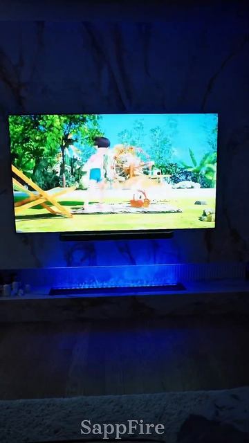 Паровой очаг | SappFire - биокамины от производителя #sappfire