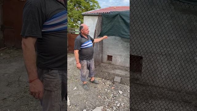 Сарай 2 смотреть онлайн