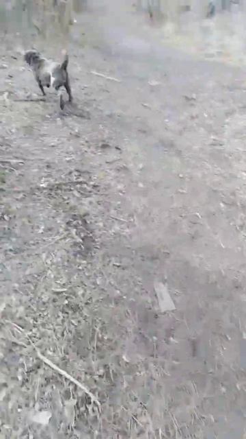 На прогулке)