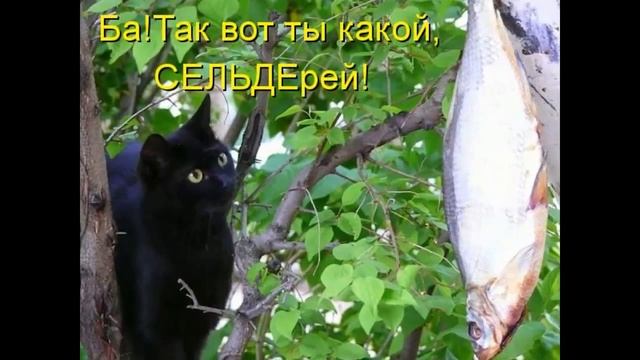 Прикольная Котоматрица смотреть онлайн