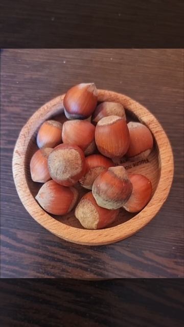 ОЗОН МАГАЗИН GR фундук . 89298155916 Вацап смотреть онлайн