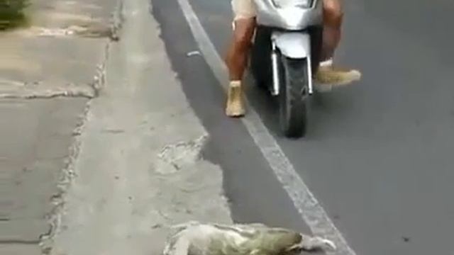 Эстонский разведчик перебирается через дорогу смотреть онлайн