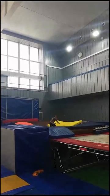 Наши малыши 3/5, двойное сальто назад #trampoline #tramp #батут #? смотреть онлайн