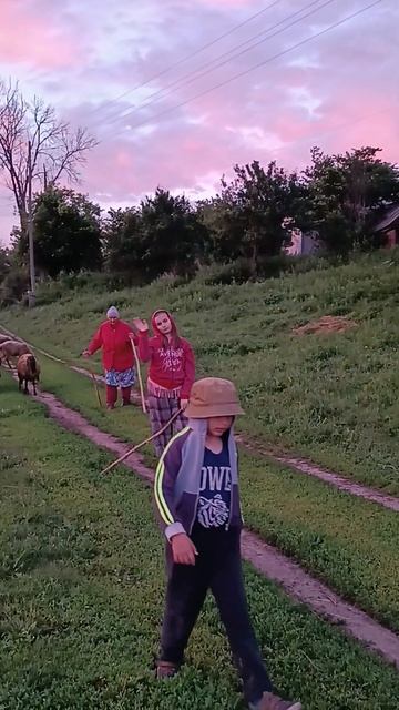 Отражающий закат/тёща из города/дальнейшие планы/#дер? смотреть онлайн