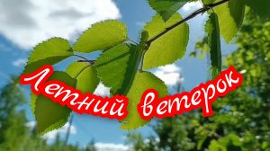 Песня про лето. Летний ветерок.