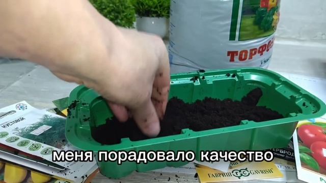 Старт рассады в январе: готовимся к активной фазе🌱 смотреть онлайн