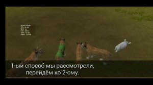 КАК ПОЛУЧИТЬ МИСТИЧЕСКИЙ СКИН || WildCraft