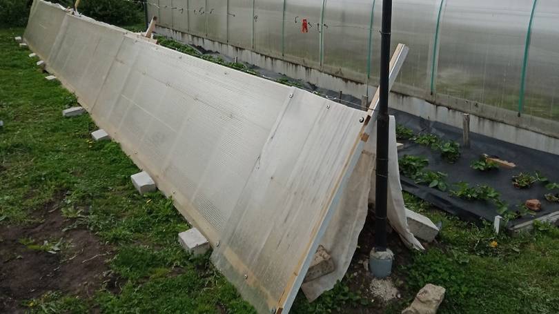 Защита винограда от заморозков. Очередная идея: "солнечные" панели. смотреть онлайн