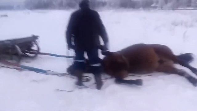 Фантазёр. смотреть онлайн