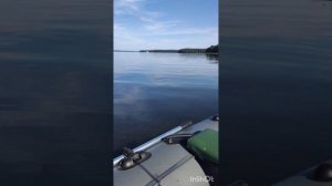 ПРАКТИК 8 PRO WI-FI что же он видит на самом деле ! ЭХОВИЗОР