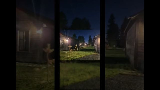 Гостевые дома Гостевого Комплекса ,,Лиски,, Рускеала К? смотреть онлайн