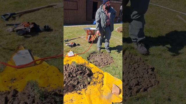 Посадка сливы почему слива не растёт смотреть онлайн