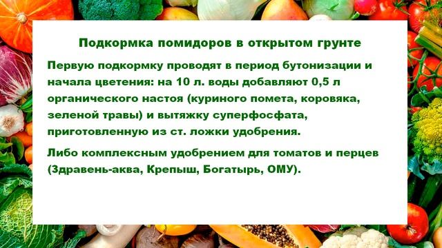 Подкормка томатов от рассады до плодоношения смотреть онлайн