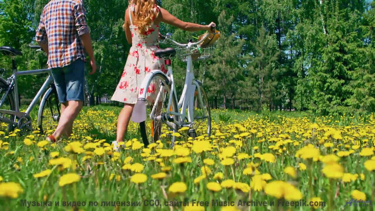 Эти пейзажи заряжают, а музыка - взрывает! - Chainlink Melody -- Podington Bear -- Said Lion To Lamb