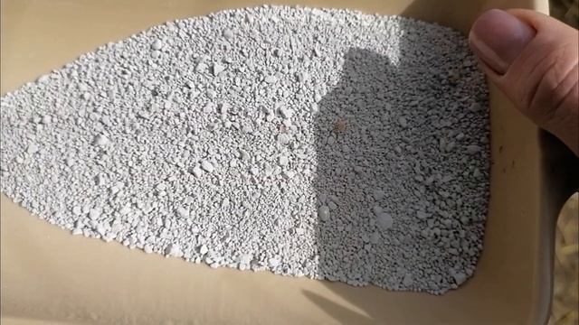 17.03.25г. ЗИМА ВОЗВРАЩАЕТСЯ? С ПЕРВЫМ ВЕСЕННИМ СНЕГОМ НАС смотреть онлайн