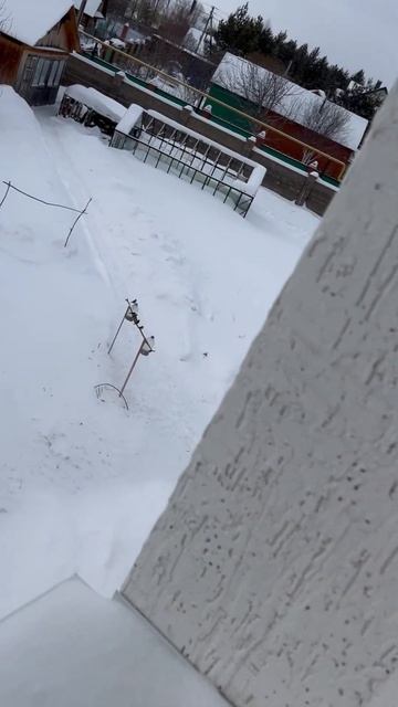 Подкормка птиц lilsk8_kitty смотреть онлайн