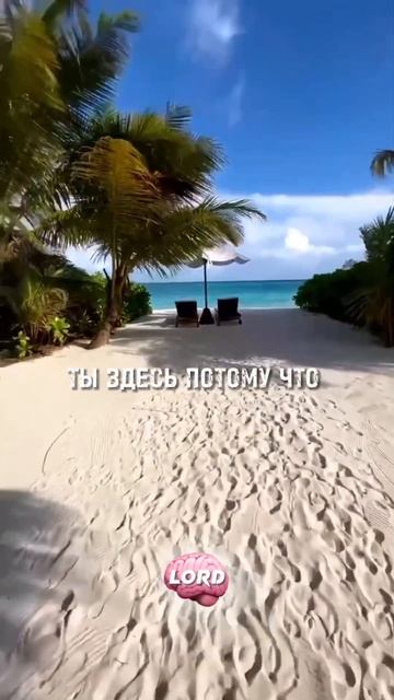 Гигантский топор!!! #motivation #мотивациянауспех #саморазв? смотреть онлайн