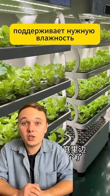 Умная теплица #доставкаизкитая #китай #бизнес #каргоки смотреть онлайн