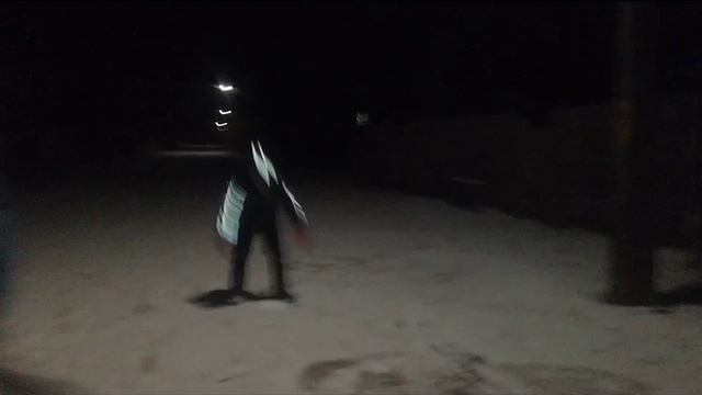 Наконец то снег/дети играют