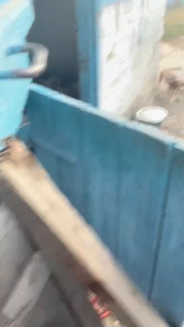 #ферма #фермерство #бройлер #бройлеры #broiler #farming #farm #farmer