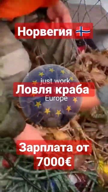 #река#рок#рек #Работать#европа #день#деньги#трактор#теп смотреть онлайн