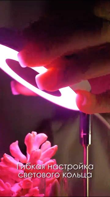 Фитолампа для растений💡ВЫГОДНО КУПИТЬ ПО ССЫЛКЕ В ША