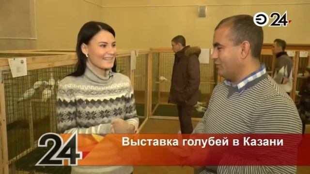 Выставка голубей в Казани. 10 января 2015г. смотреть онлайн