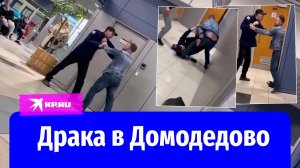 Драка двух мужчин в аэропорту Домодедово попала на видео