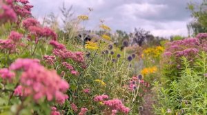 #27☘️Частный сад в Нидерландах☘️Самый красивый сад, ?